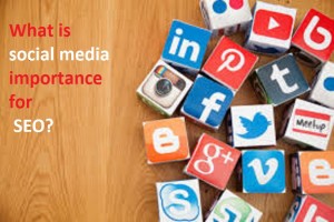 What is social media importance for SEO?