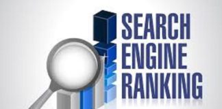 Search Engine Rankings